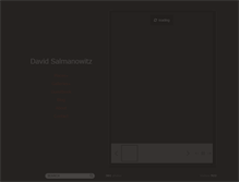 Tablet Screenshot of davidsalmanowitz.com